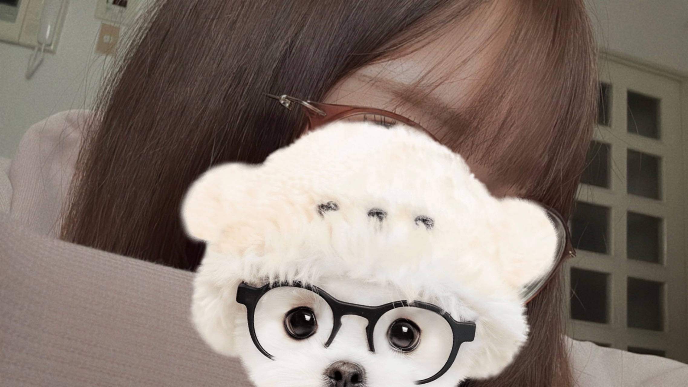yuikatottorir