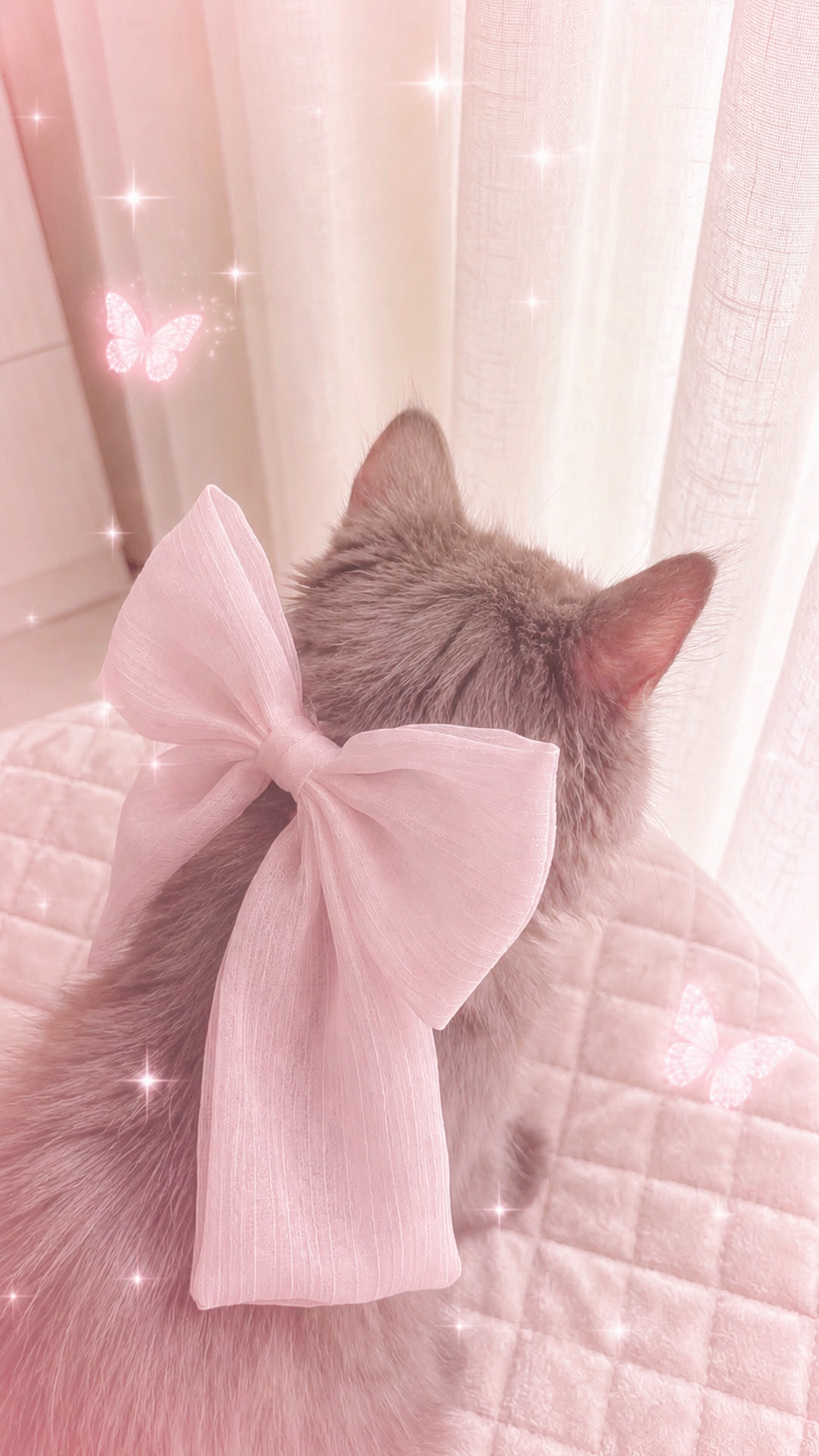 りお（OLコース）