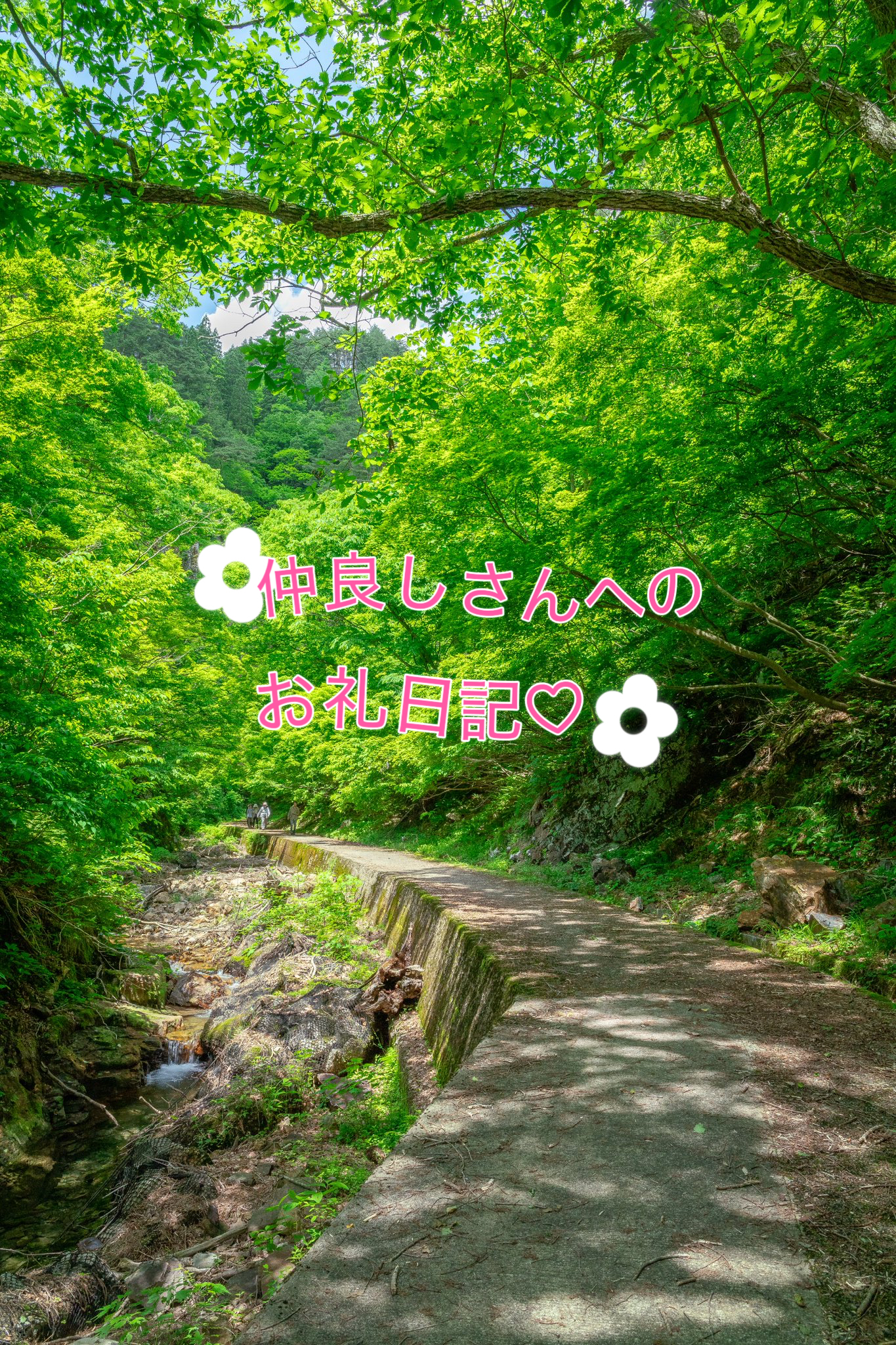 ranntottori