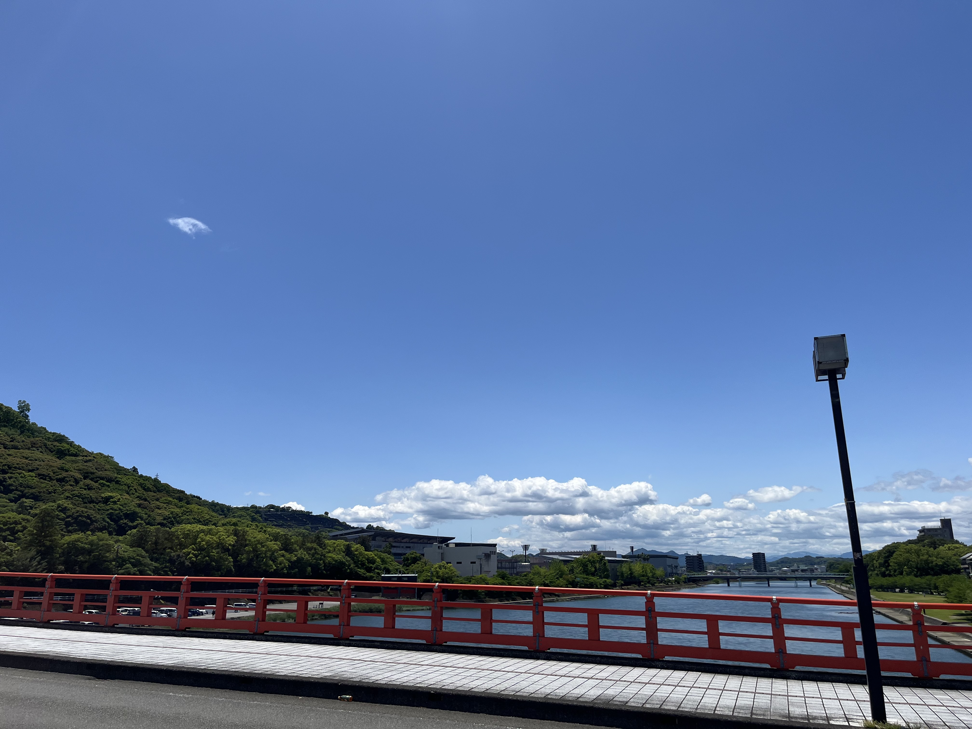 ranntottori