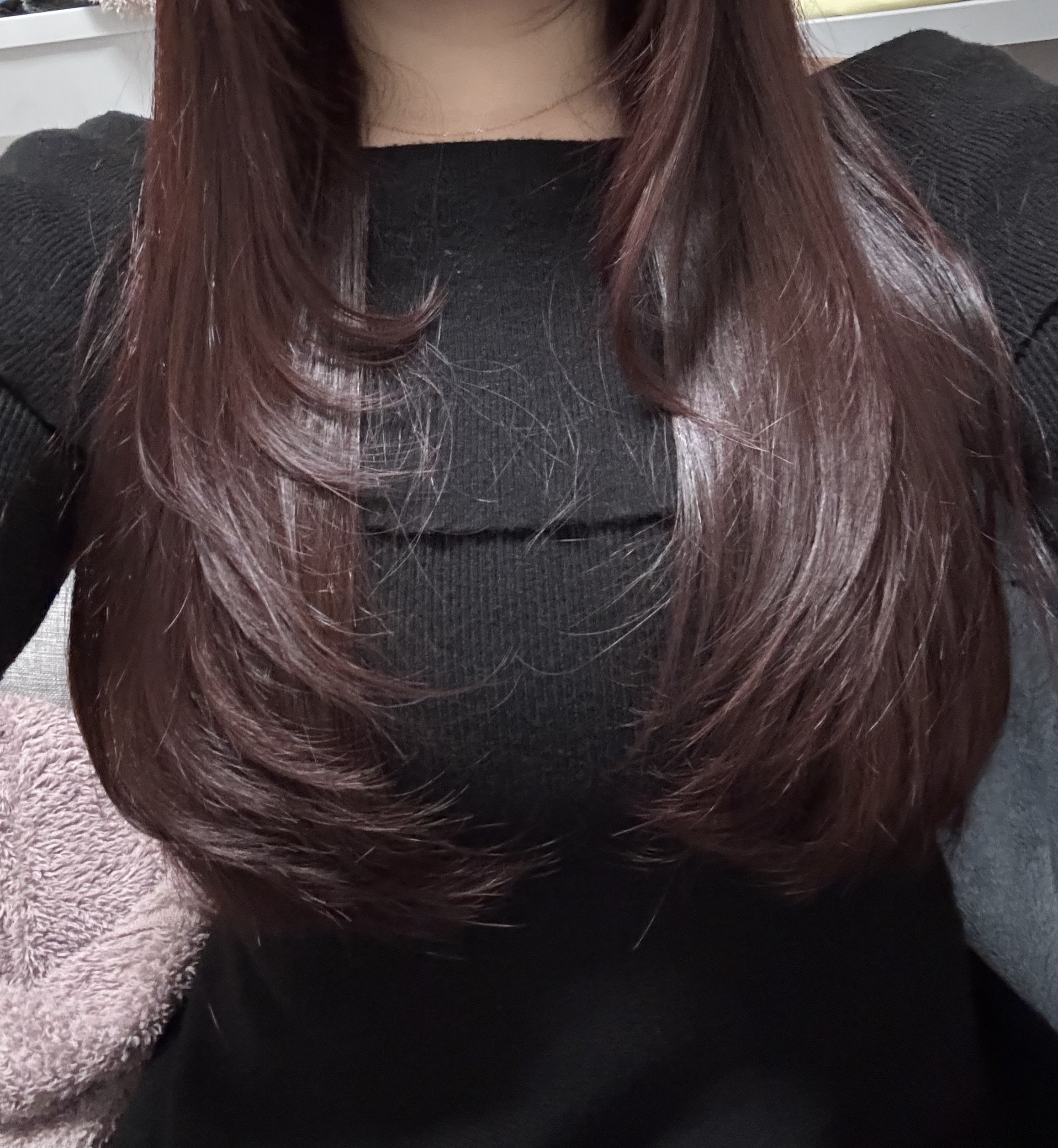 みらい(OLコース)