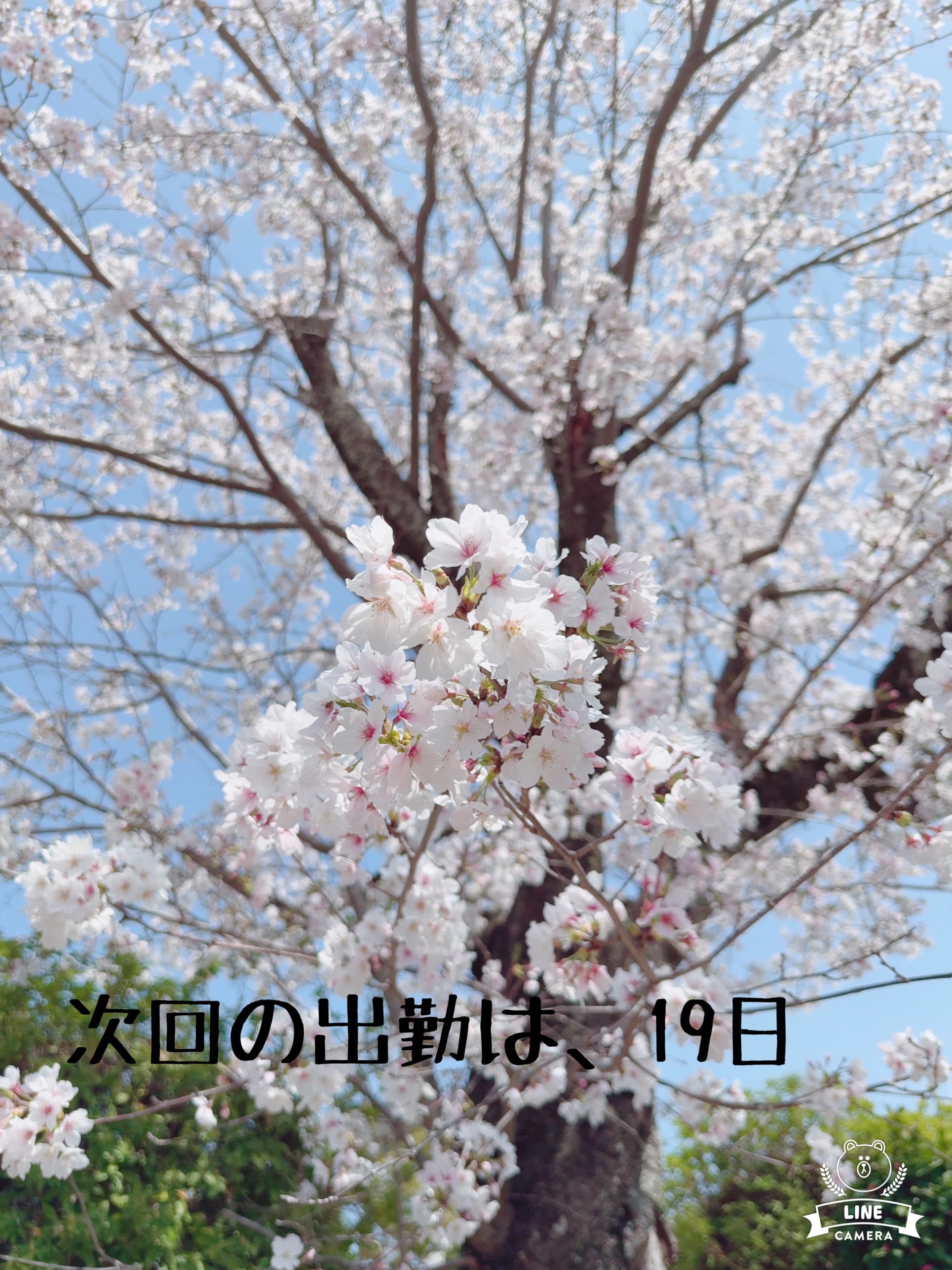 reotottori