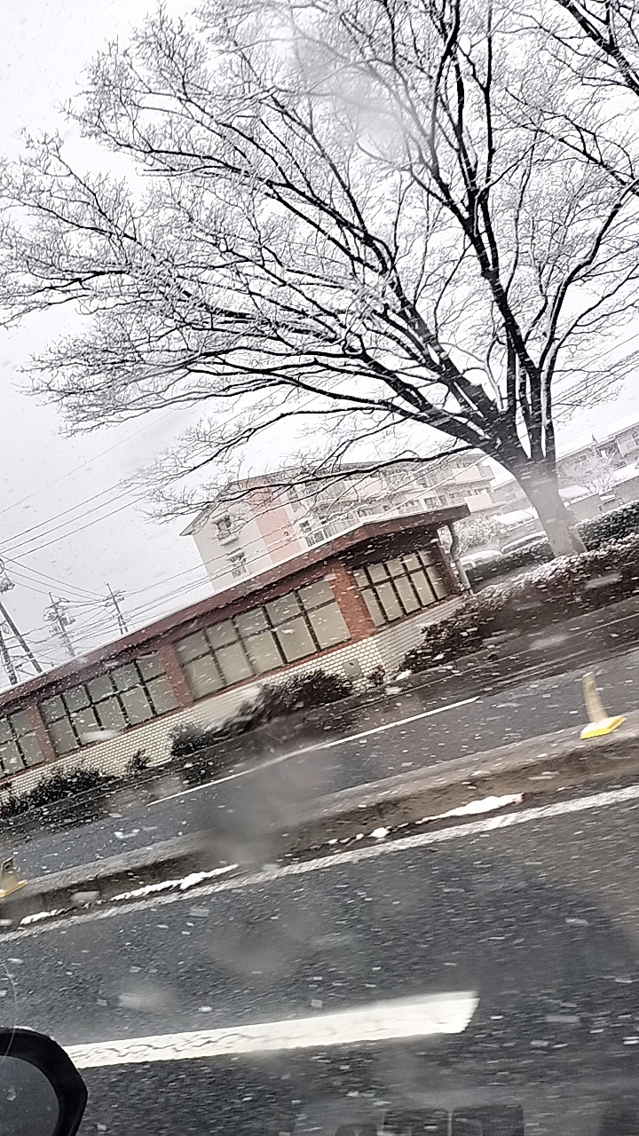 淫乱秘書室米子店