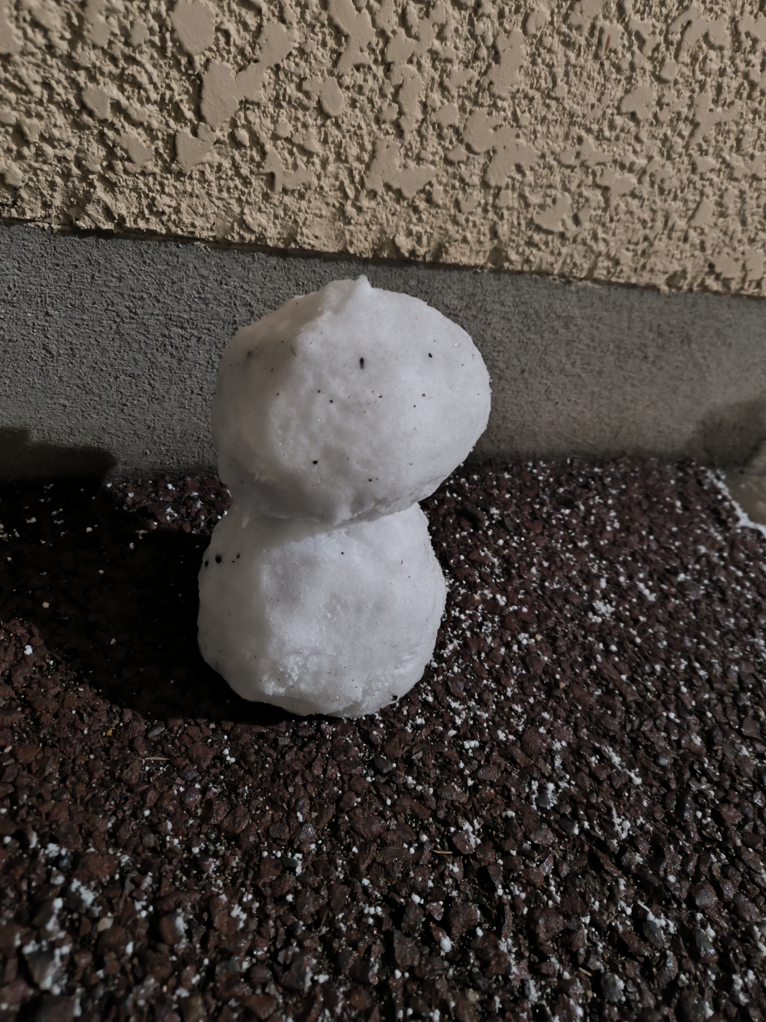 まお（OLコース）