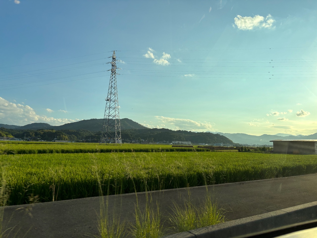 めめ（ＯＬコース）