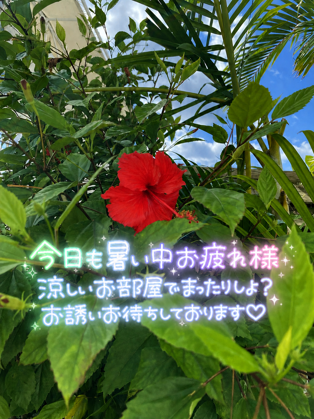 otoyonago